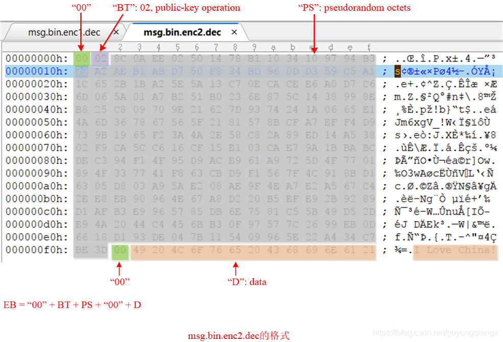 msg.bin.enc2.dec的格式